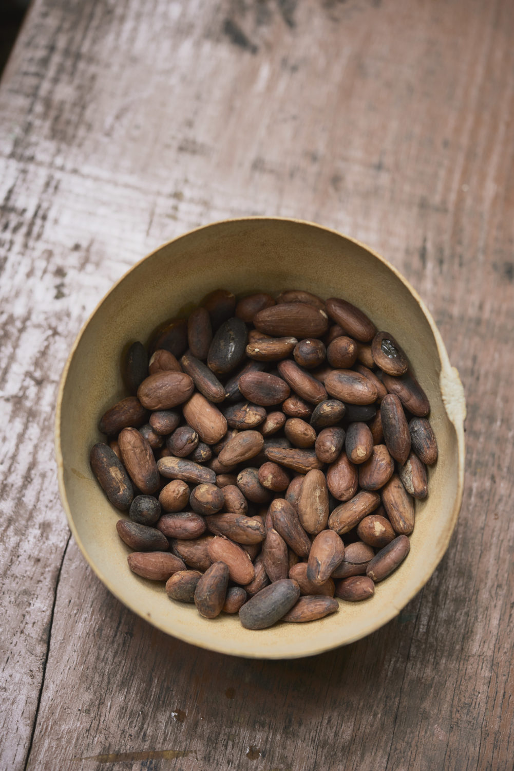 Ajaw maya chocolate tour Bullet Tree. Photo: Leonardo Melendez / Sera Images