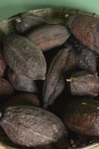 Ajaw maya chocolate tour San Ignacio. Photo: Leonardo Melendez / Sera Images