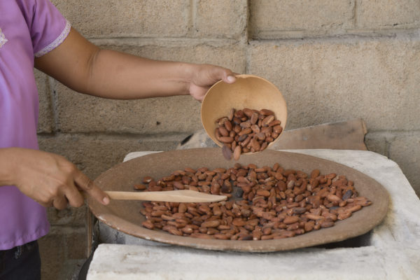 Ajaw maya chocolate tour San Ignacio. Photo: Leonardo Melendez / Sera Images