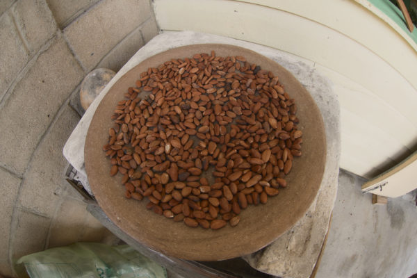 Ajaw maya chocolate tour San Ignacio. Photo: Leonardo Melendez / Sera Images